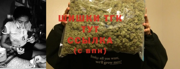 СК Болохово