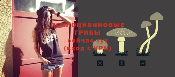 таблы Болхов