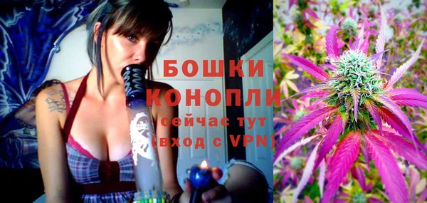 твердый Няндома