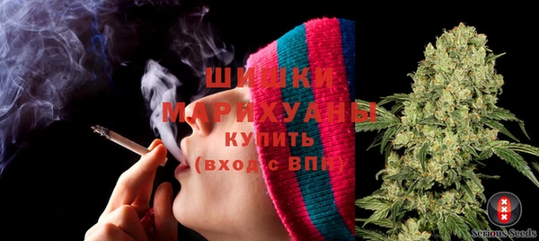 винт Нягань